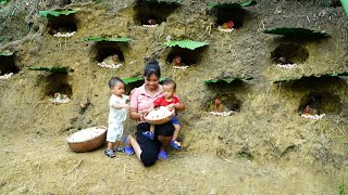 Make Many Nests for Chickens to Lay Eggs  Harvest many chicken eggs to sell at the market [upl. by Yasmin]