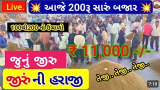 Jira na bhav  16112024  જીરાના ભાવ2024  Information about cotton crop price  Commodity [upl. by Utham]