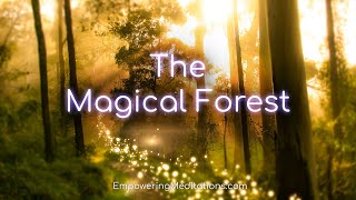 The Magical Forest  Guided Meditation Visualization For Deep Relaxation amp DeStressing [upl. by Leoni]