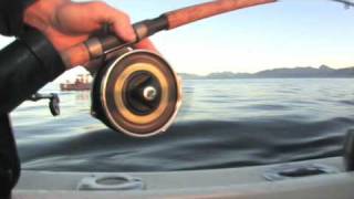 Shimano Mooching Reels [upl. by Ferdinande]