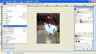 GIMP Tutorial  How to Use the Transparency Tool in GIMP [upl. by Nottus289]