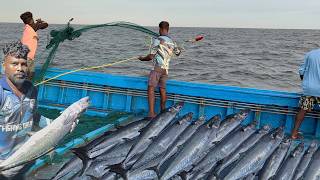 Amazing  Third Day We Caught Lot of Seer Fishs in Deep Sea Fishing [upl. by Salahi632]