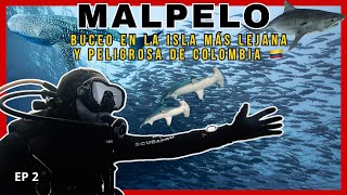 MALPELO 🇨🇴  Buceo en la isla MÁS LEJANA de Colombia ¡Buceamos en una Tormenta ⛈️ y nos rescataron [upl. by Nameerf]