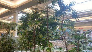 Indoor Palms at Market Mall Saskatoon [upl. by Rosio]