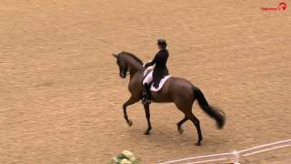 Dorothee Schneider  Sammy Davis Jr  Grand Prix  Herning Horse Show 2017 [upl. by Yatnahs]