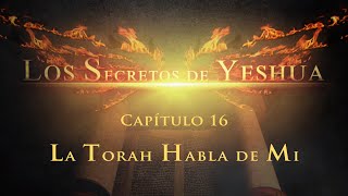 Los secretos de Yeshua CAP 16 La Torah habla de mi [upl. by Einot211]