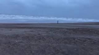 Harde wind op strand Egmond aan Zee [upl. by Ahsa646]