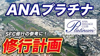 【ANAプラチナ】修行路線＆PP単価！おすすめ運賃は？【SFC修行】 [upl. by Adnertal712]