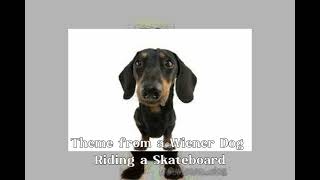 「♡Theme from a Wiener Dog Riding a Skateboard 🛹♡」 1hour [upl. by Eded322]