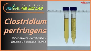 MBcell 식품공전 클로스트리디움 퍼프린젠스 시료 확인시험 실험하기 Clostridium perfringens [upl. by Deirdre384]