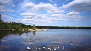 Summer Solstice on the Narragansett Trail [upl. by Timmie]