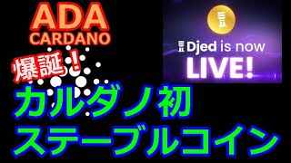 【カルダノADA 10万円勝負】20230131 第1413話 BoundlessPayで国際送金を支援！ 711995円（6120 [upl. by Carin]