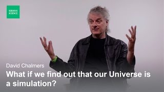 Skepticism and the Simulation Hypothesis — David Chalmers [upl. by Killoran]