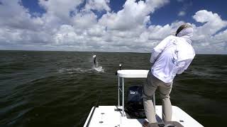 Fly Fishing for Big Tarpon in the Florida Everglades [upl. by Ahto]