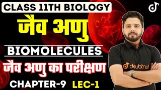 Biomolecules  जैव अणु Class 11 Biology Chapter 9  Testing for Biomolecules  L  1 By Yogesh sir [upl. by Ilaire]