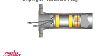 GripTight® Isolation Plug [upl. by Bega]