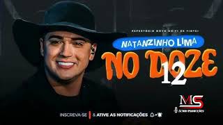 Natanzinho Lima  No Doze [upl. by Dabney]