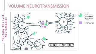 NEUROSCIENCE  WHAT IS VOLUME NEUROTRANSMISSION [upl. by Adlitam420]