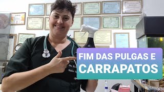 ACABAR COM PULGAS E CARRAPATOS NO AMBIENTE [upl. by Sirois564]