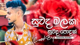 Suwada Malaka  සුවද මලක සුවද පොදක්  TikTok Hitz  Cover Voice Of Achintha Rusiru [upl. by Annekahs]