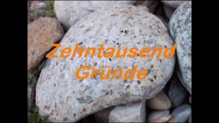 Zehntausend Gründe Lied [upl. by Aubrie779]