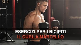 Il curl a martello hammer con manubri per i bicipiti [upl. by Ardolino]