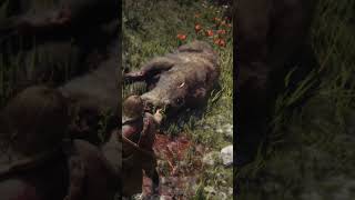 Legendary Grizzly Bear RDR2 [upl. by Tsirhc]