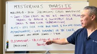 Mysterious PARASITEMalaria Plasmodium [upl. by Joel]