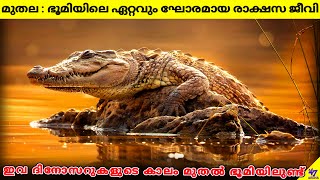 Crocodiles The Most Dangerous Predator On Earth  Facts Malayalam  47 ARENA [upl. by Anneuq300]