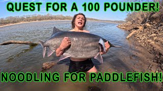 Noodling for Paddlefish The Quest for a 100 Pound Fish Continues We Try Snagging and Noodling [upl. by Adnawyt]