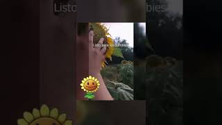 Girasol en la vida real pvz popcapgames meme gracioso divertidos viral viralvideo [upl. by Blankenship]