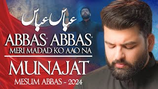 Abbas Abbas Meri Madad Ko Aao Na  Mesum Abbas Nohay 2024  Munajat Mola Abbas Noha [upl. by Aidyn]