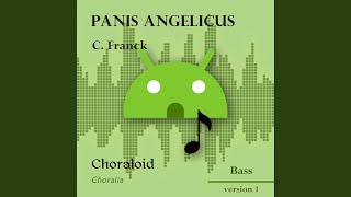 Panis angelicus All voices [upl. by Auqenet]