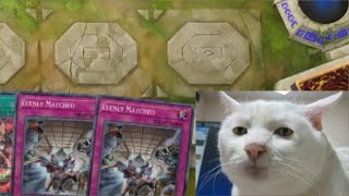 bully your opponent with 2 evenly match yugioh master duel [upl. by Sylvester]