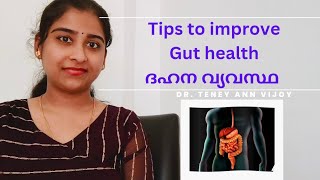 Gut health tips Malayalam DrTeney [upl. by Kiryt847]