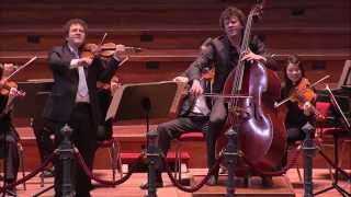 Bottesini Gran duo concertante  Concertgebouw Kamerorkest  Live Concert  HD [upl. by Oileduab]