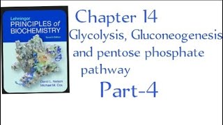 Payoff Phase of Glycolysis Chapter 14  part4 in Urdu Lehninger principles of biochemistry [upl. by Orr]