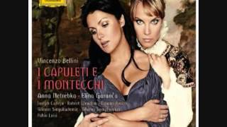 I Capuleti e i Montecchi  Act I finale [upl. by Aicrag741]