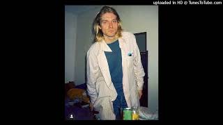 Nirvana  Sappy Live Italy 1994 [upl. by Avad]