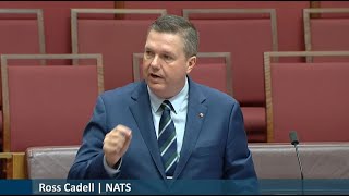 Senator Ross Cadell Call Out Vaping Regulation Faiure 21 Nov 2024 [upl. by Matthaeus]