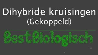 Dihybride kruisingen gekoppeld [upl. by Allenad200]