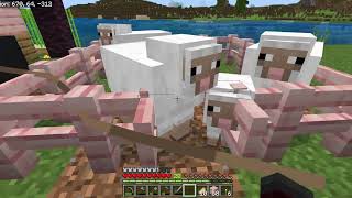 Minecraft survival I GOT TWO MORE CHICKENS [upl. by Irihs26]