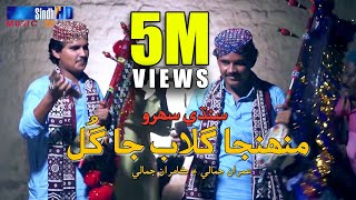 Muhinja Gulab Ja Gul  Imran Jamali amp Kamran Jamali  Sindhi Song  SindhTVHD Drama [upl. by Rumery]