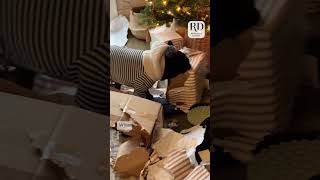 Unwrapping presents can be laborious so he just offered to help [upl. by Cressler]