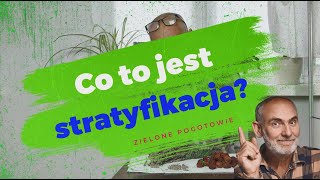 Co to jest stratyfikacja nasion [upl. by Aitnis]