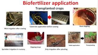 Using Biofungicides Biostimulants and Biofertilizers [upl. by Hawken]