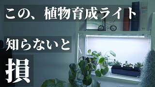 【おすすめ】コスパ最高！バータイプ植物育成LEDライト「GLT5 L530」レビュー！育成棚で使える！観葉植物や育苗、水耕栽培、室内家庭菜園、簡易温室に！T5型Samsung「LM281BPRO」 [upl. by Utas275]