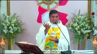 Abiding in Christ Bearing Fruit as Branches of the True Vine  Homily  FrMichael Payyapilly [upl. by Bracci]