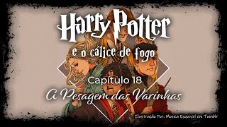 Harry Potter e o Cálice de Fogo  Capitulo 18  A Pesagem das Varinhas [upl. by Eidod]