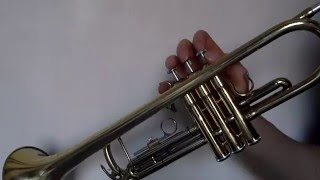 16 Wilhelmus National Anthem of the Netherlands  trumpet [upl. by Topliffe]